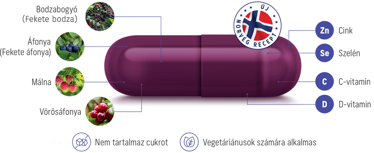 Natural Pharmaceuticals Imuberin® Lila kapszula, amelyen az összetevők fel vannak tüntetve: fekete bodza, fekete áfonya, málna, vörös áfonya, cink, szelén, C- és D-vitamin. Felirat, hogy a termék nem tartalmaz cukrot és vegetáriánusok számára is alkalmas. A háttérben a norvég recept szimbóluma.